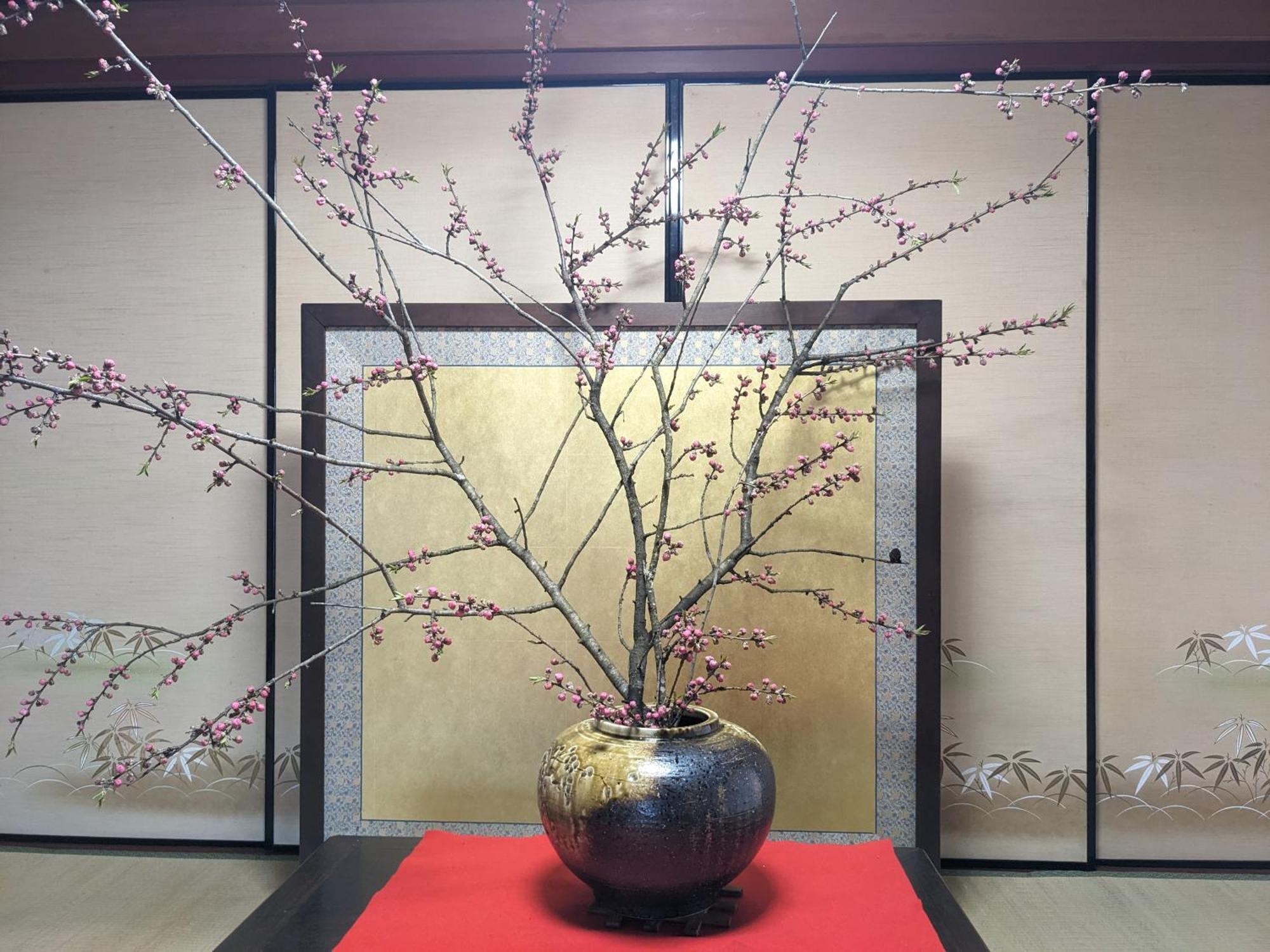 Farm Stay Inn Sanzaemon-Tei 母屋guesthouse Shiga-Takasima Traditional Japanese Architecture House Exterior foto